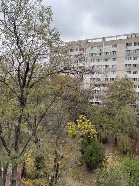 Dristor, 10 minute metrou, la 3 minute de parc IOR